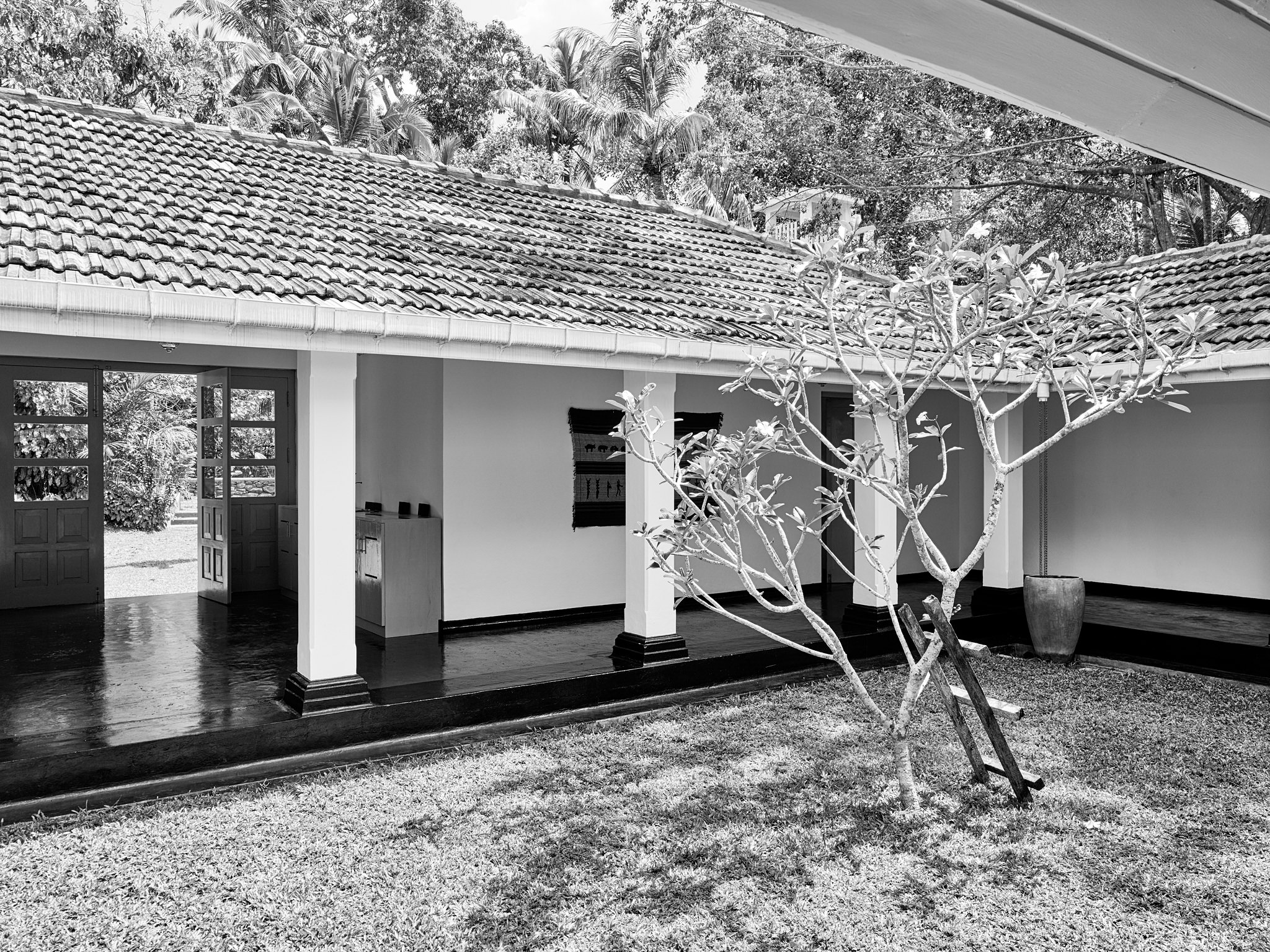 E15550 Alpa 050055 BW SCREEN